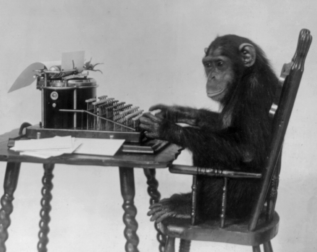 chimp typing